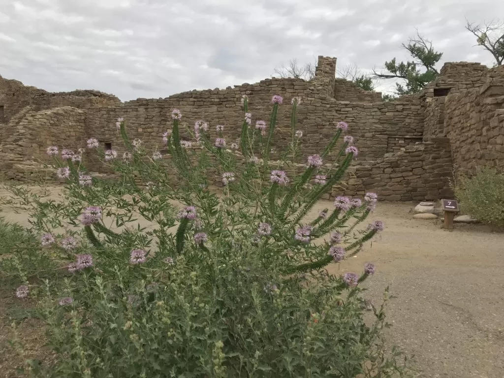 The Great House in Aztec Ruins National Monument
