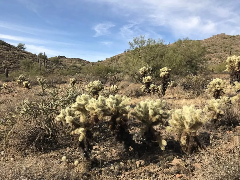 Sonoran Preserve Trails Phoenix