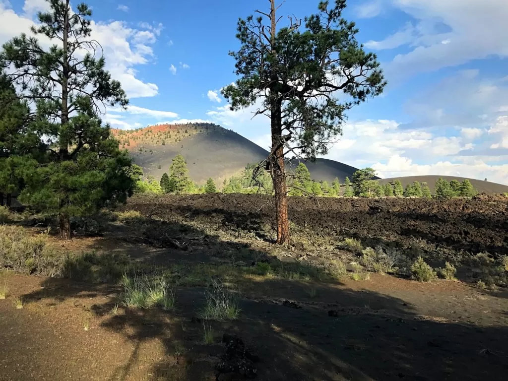 View of Sunset Crater from the self-guided interpretive trail.