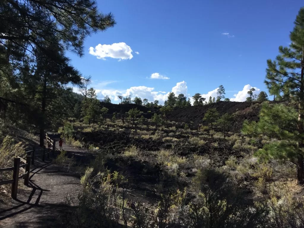 Bonito Lava Flow at Sunset Crater Volcano National Monument